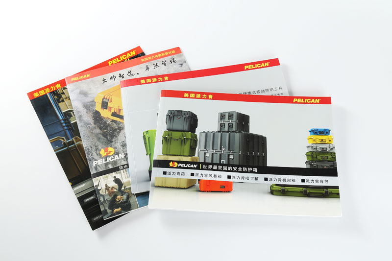 1474424175113998.jpg 派力肯9.jpg